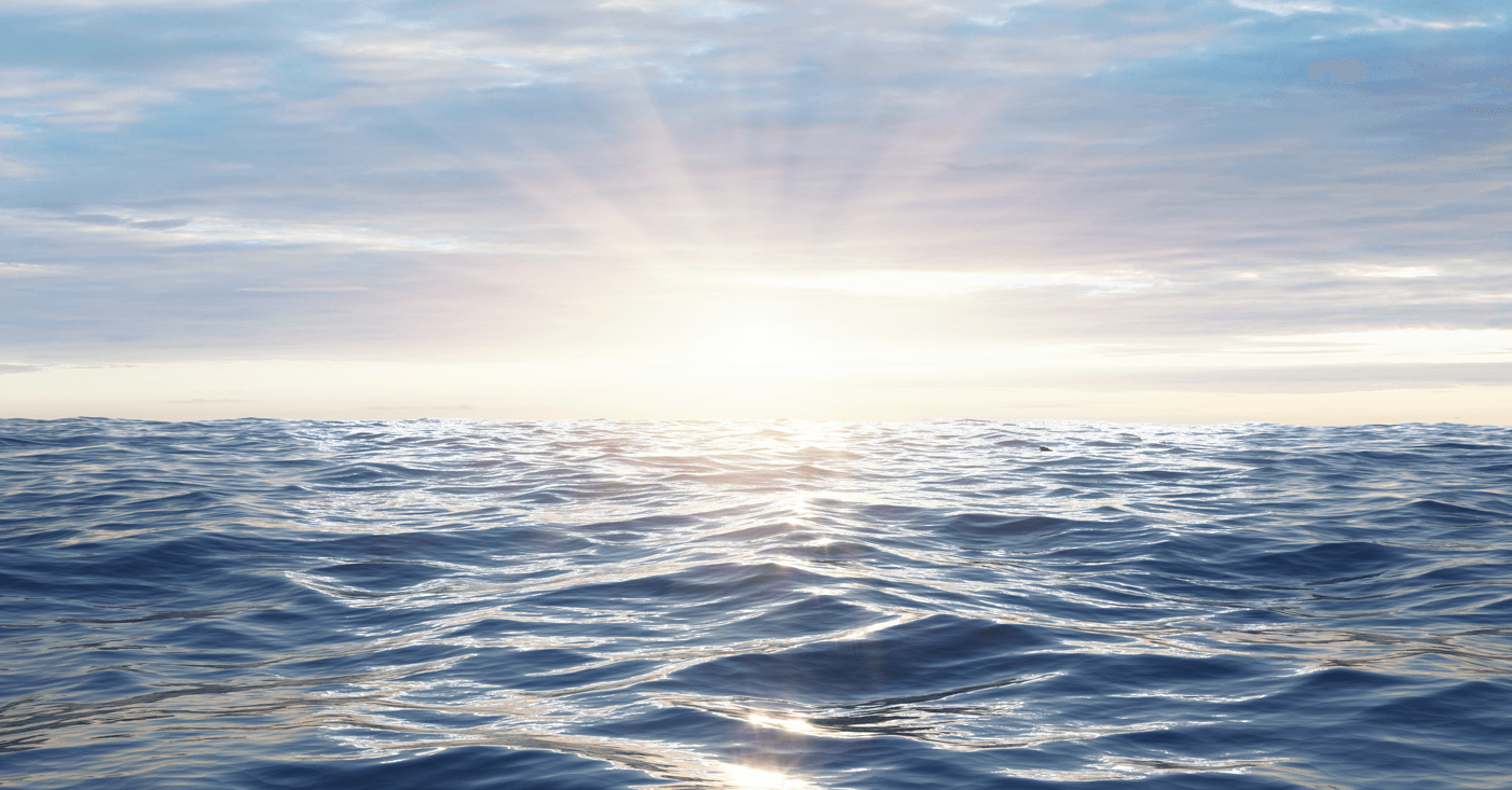 Beyond IMO 2020: Insights On Sustainability In Maritime