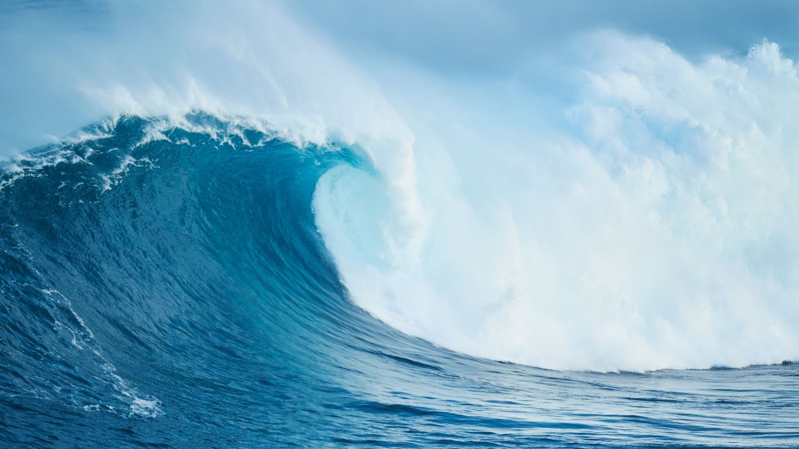 Surfing the Tsunami: Adopting Digital Workflows