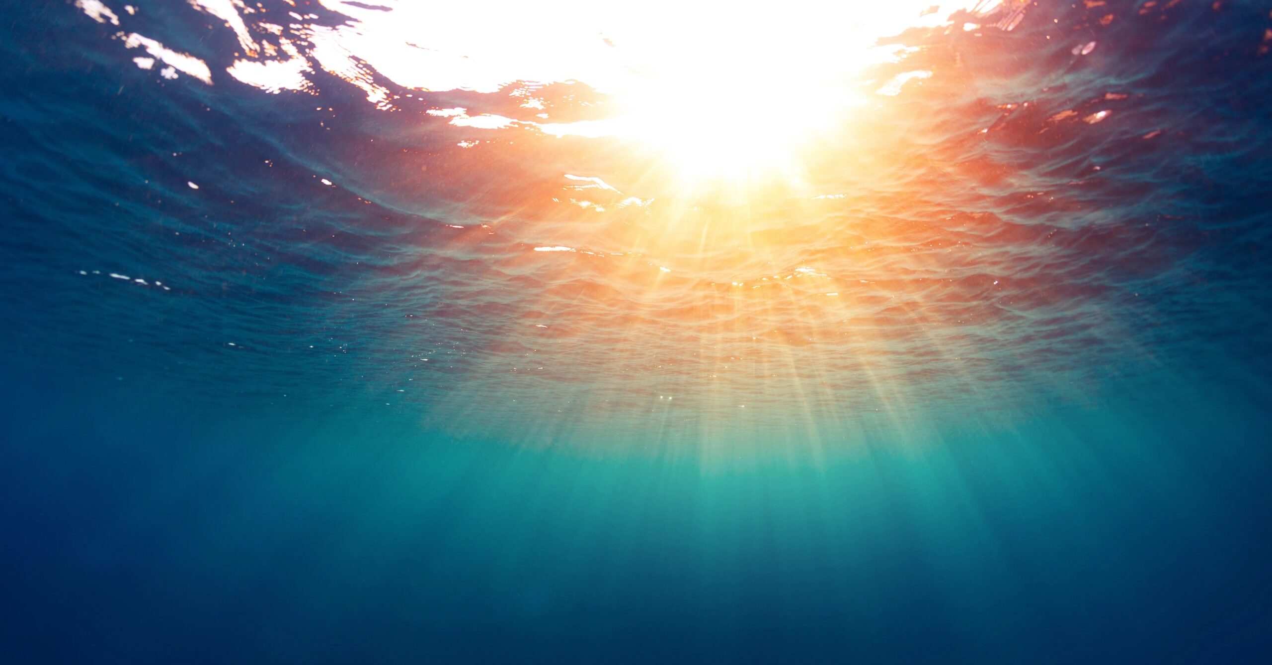 Furetank Chartering Deploys Orbit Solutions on All Vessels