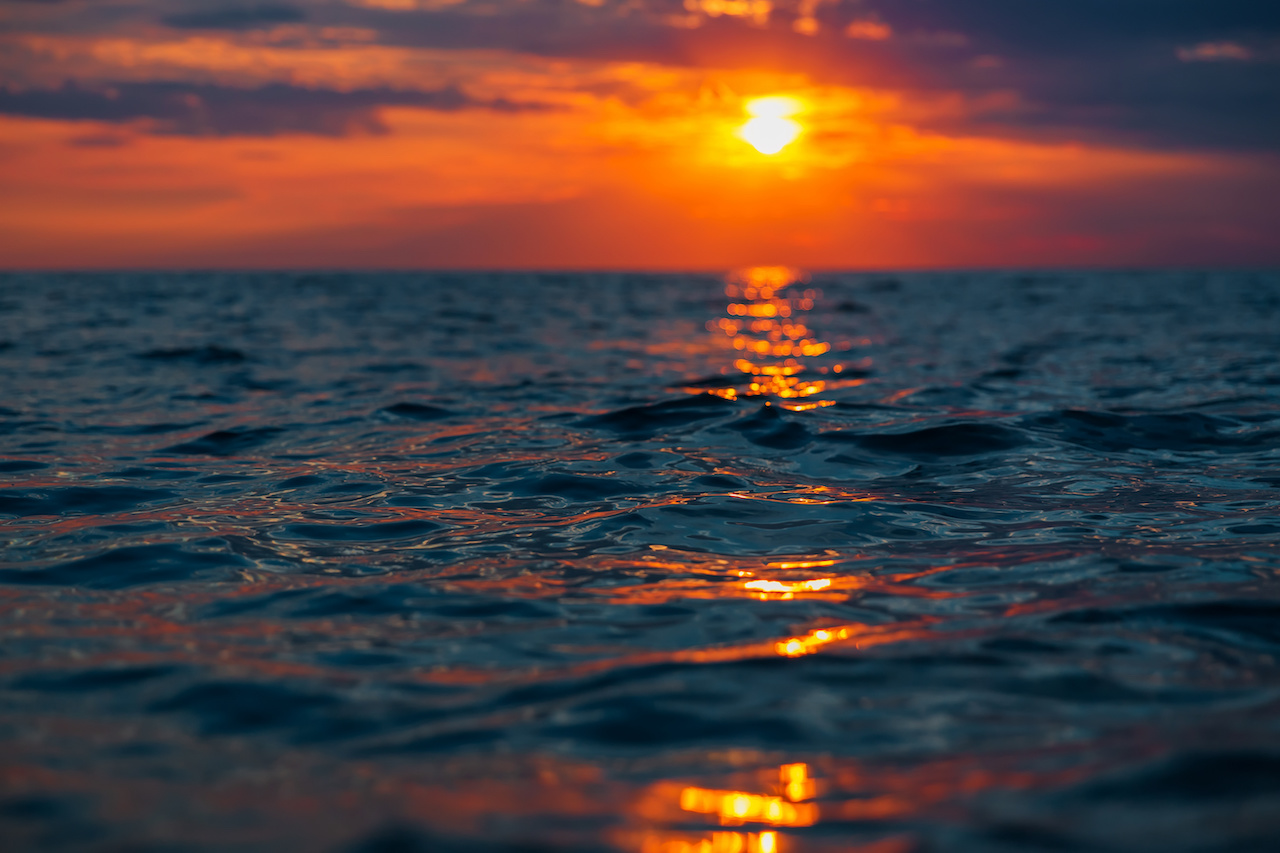 What our integration with Veson IMOS Platform (VIP) means for maritime