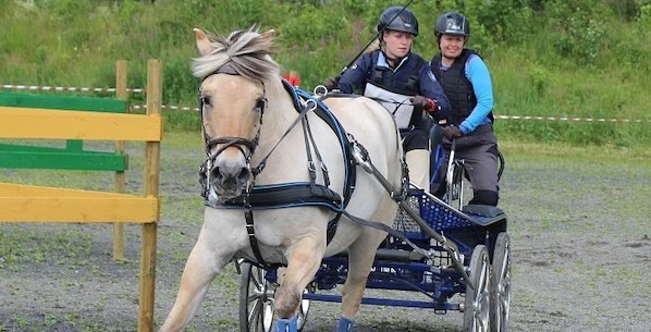 Meet the Team: Aina Huseby