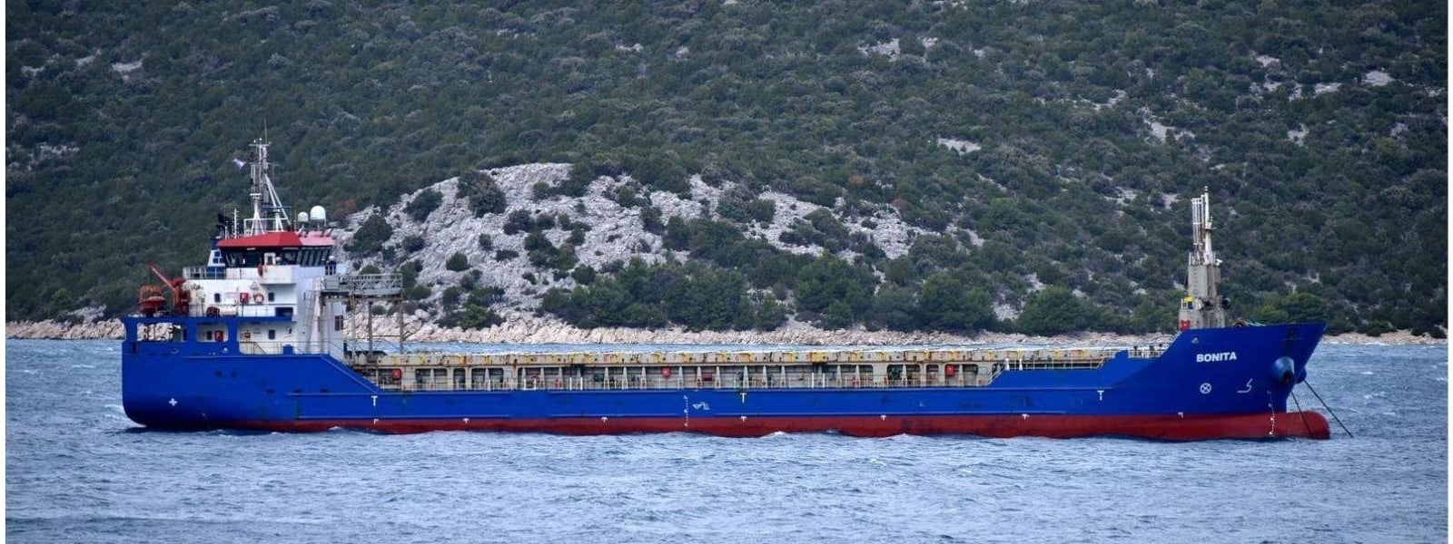 Statu Shipping Takes a Proactive Approach to Compliance with Orbit