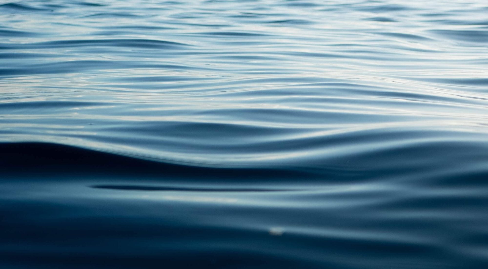 What the Gale Force Announcement Means for Maritime