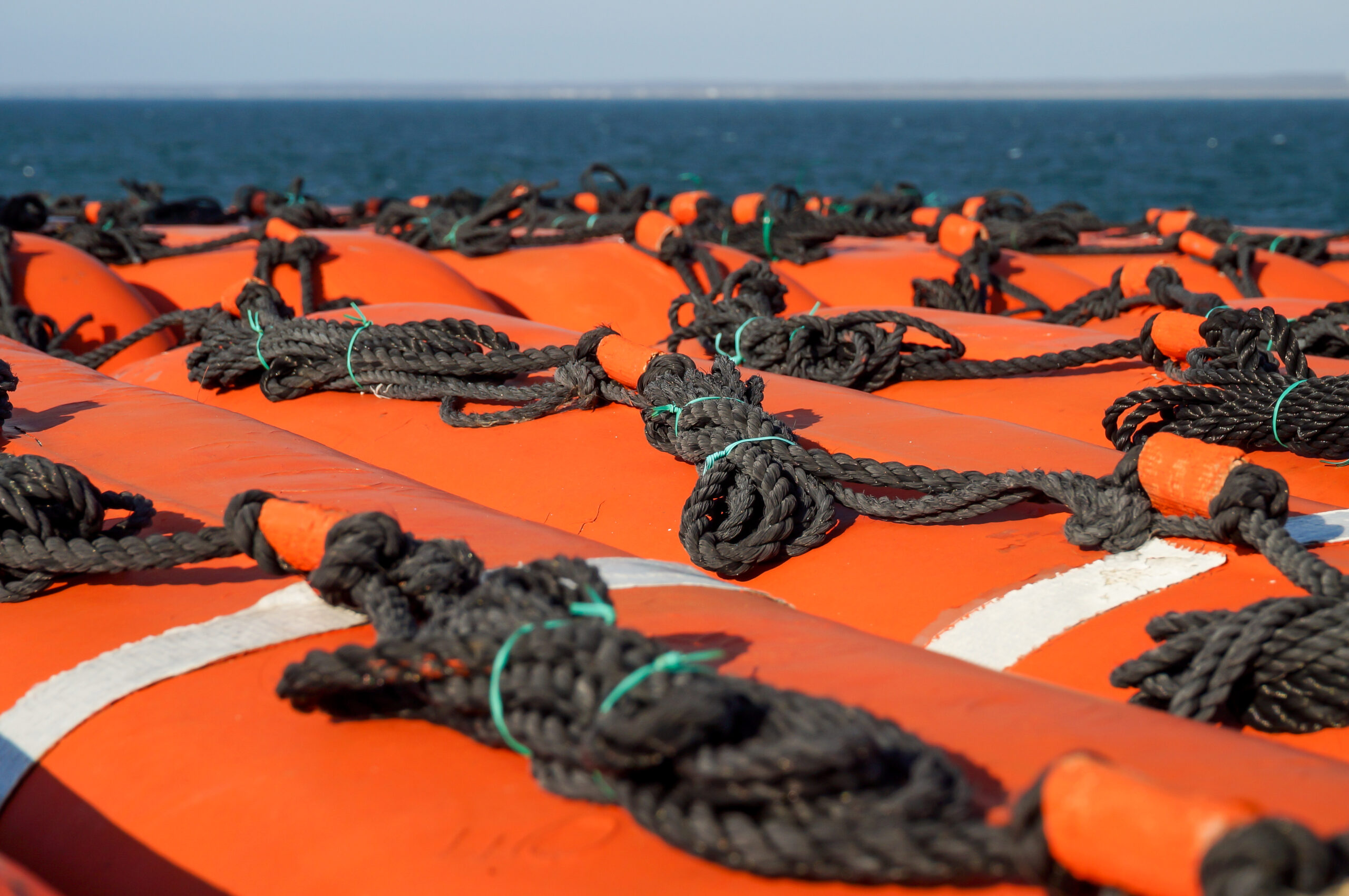 Who will be the winners in the Connected Maritime Era?