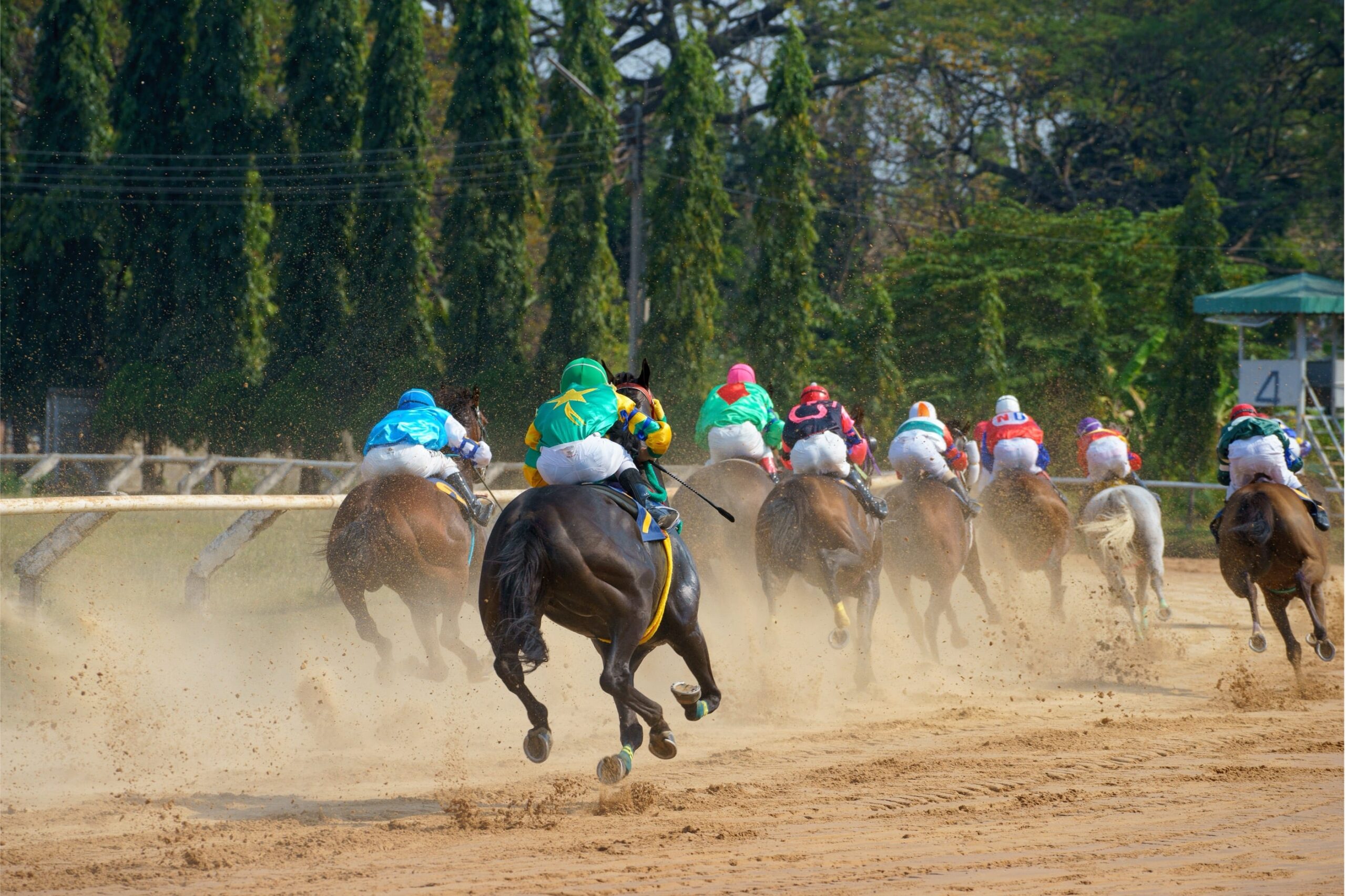 How to Win in a Regulated World: Why Acting Early Beats Waiting