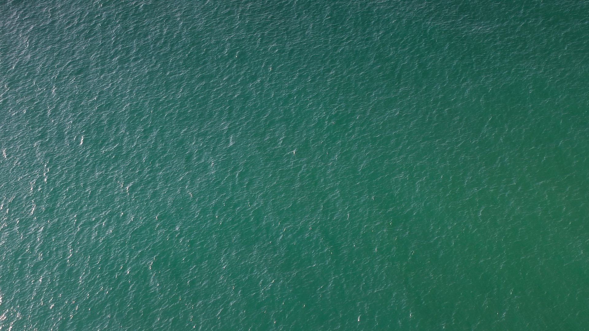When Noon Reports Don't Align: The Case for Standardized Vessel Data